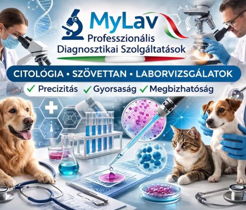 Kedvezmény mogyoródi gazdiknak